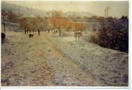 panoramio.com Baronia