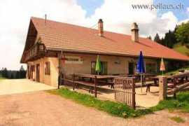 pellaux.ch Baronne