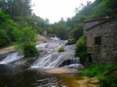 Barosa