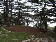 habeeb.com Barouk