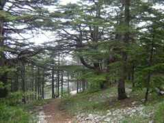 habeeb.com Barouk