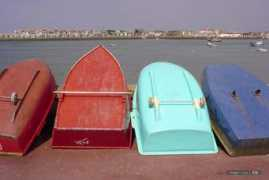 Barque