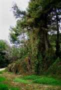 Barranco