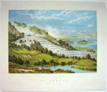 newzealandantiqueprints.co.nz Barraud