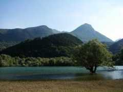 Barrea