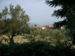 panoramio.com Barretta