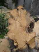 tropeamagazine.it Barritta