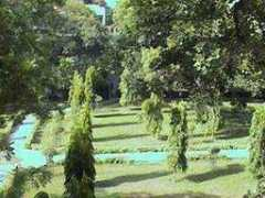 sebinindia.free.fr Barsati