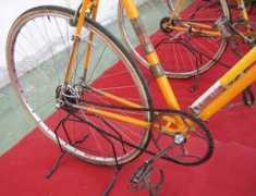 cyclesdeoro.com Bartali