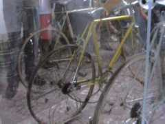 dailypeloton.com Bartalis