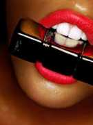 productionparadise.com Bartas