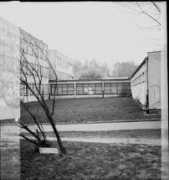 barteq.fotolog.pl Barteq
