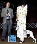 karasarwhippets.net Barthelette