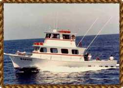 thebarvic.com Barvic