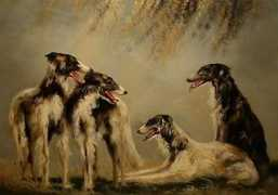 barzoi-as.be Barzoi
