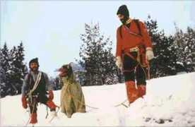 demologia.it Basalik