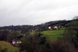 asturnatura.com Bascones