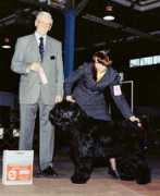 shazzamofozkennels.com Basena