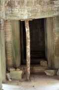 Basere