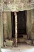 Basere