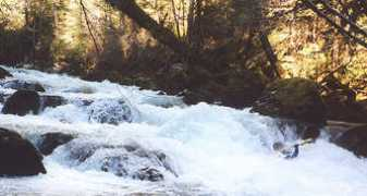 oregonkayaking.net Bashin