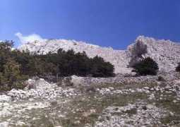Bashka