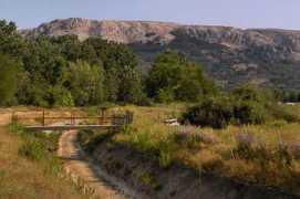 Bashka