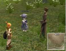 lineage.pmfun.com Basilia
