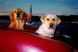carriage-hill-labs.com Basley