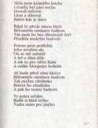 dubcova.bigbloger.lidovky.cz Bassen