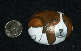 Bassethound