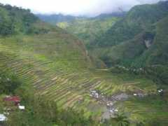 Batad