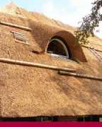 Batema