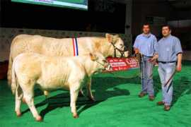 genesdiffusion.com Batiot