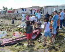 marshallislandsjournal.com Batkan
