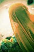 fineartamerica.com Battaglino