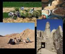 dakhla-birgabal.com Bauern