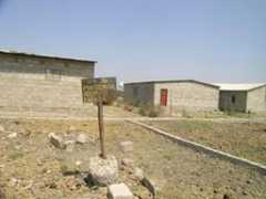 tscnyc.org Bauleni