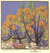 Baumann