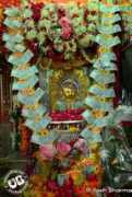 Bavji