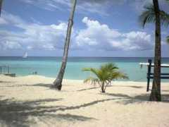 Bayahibe