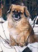 Bazetoux