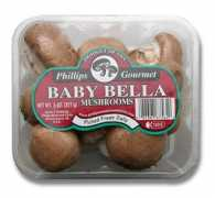 phillipsmushroomfarms.com Bbella