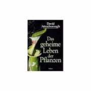 Bcher