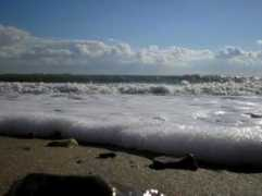 Beacha