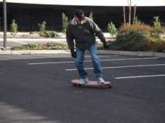 silverfishlongboarding.com Beaner