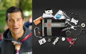 Beargrylls
