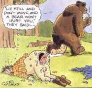 forum.net.hr Beariz