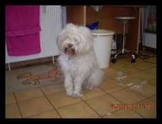 Bearny