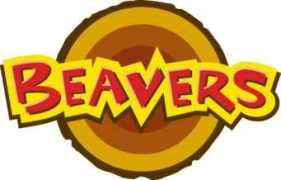 15thnuneatonscoutgroup.org.uk Beavers